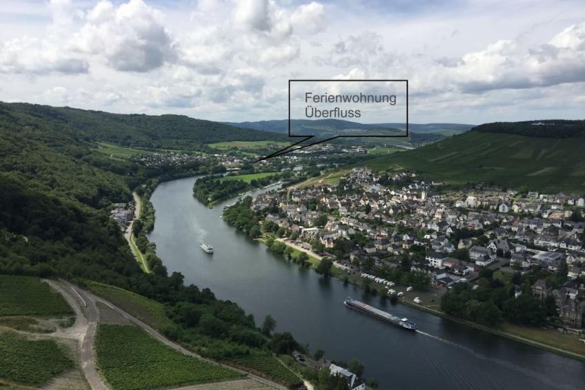 6486 - foto 25