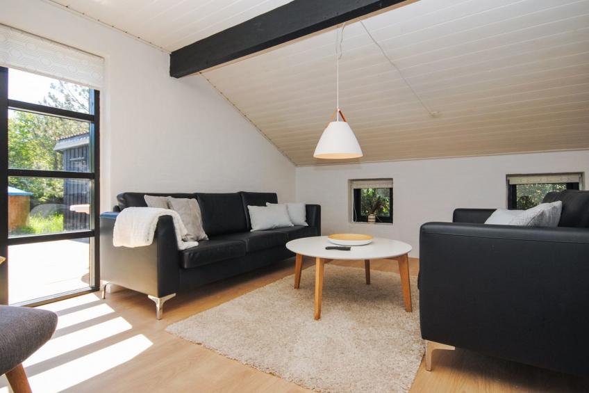 "Duco" - 300m from the sea in NW Jutland - foto 3
