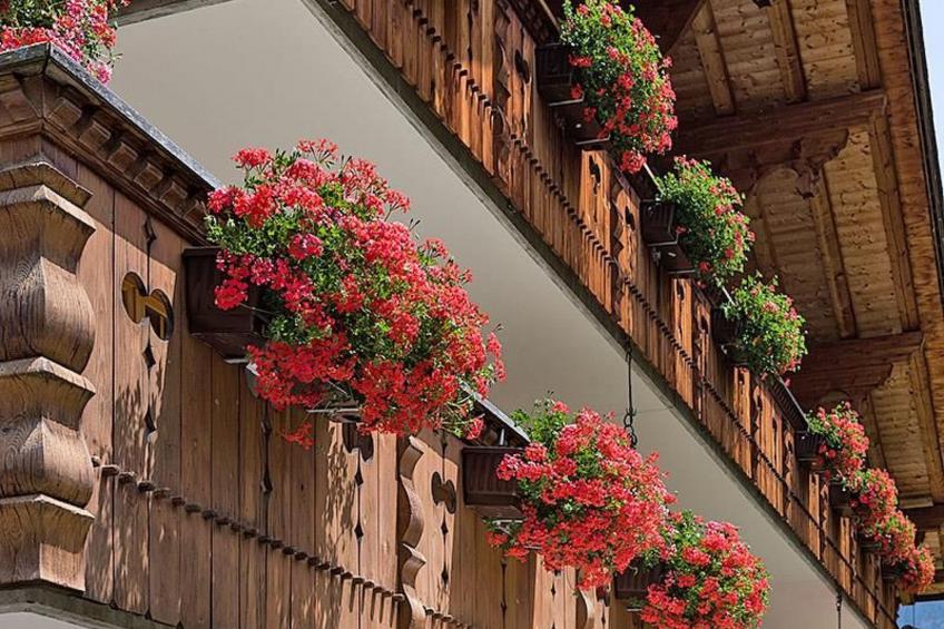 Grindelwald Zwygarte - foto 5