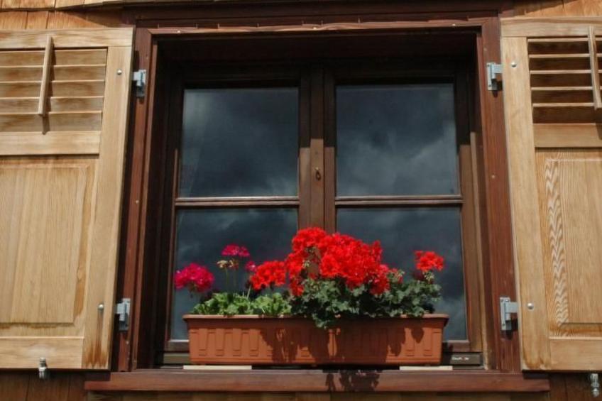 Dünser in Dünserberg - foto 10