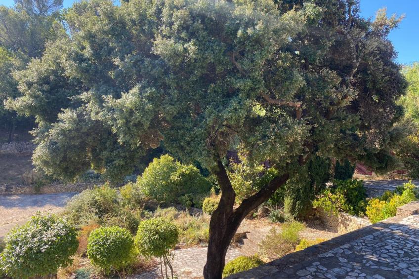 In der Provence, Außergewöhnliche Villa, Okzitanien, Gard - foto 15