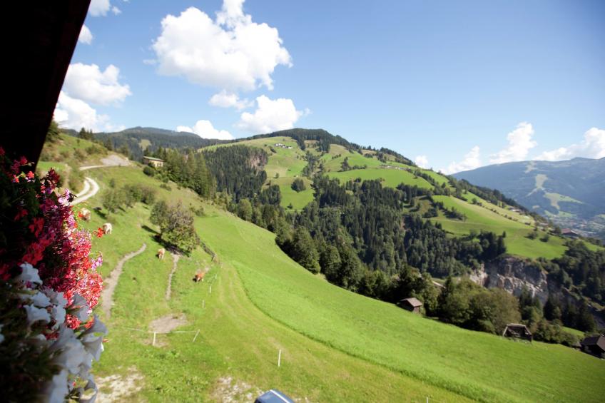 Durchholzhof - foto 19