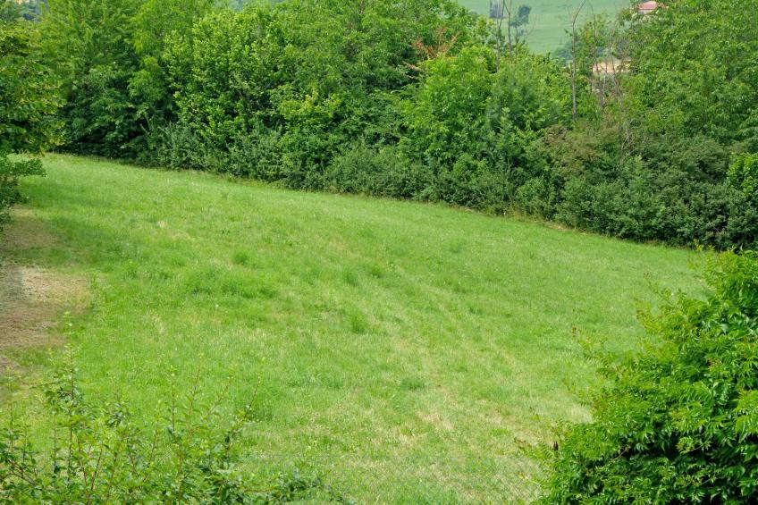 Casale Adriano Country House - foto 34