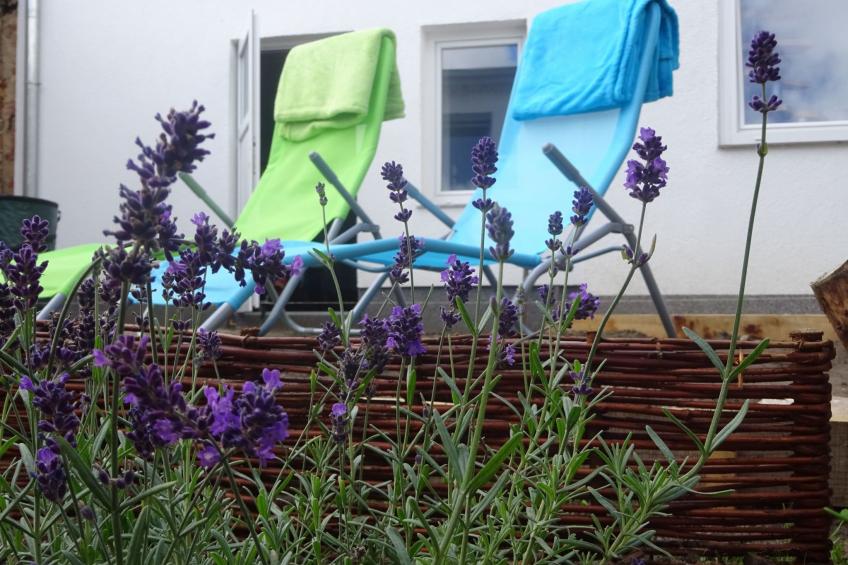 Sweet Home - foto 15