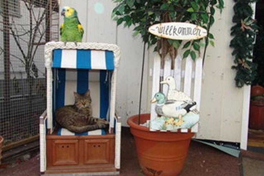 Spree Idyll - foto 16