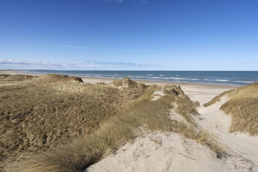 "Solunka" - 100m from the sea in NW Jutland - foto 16