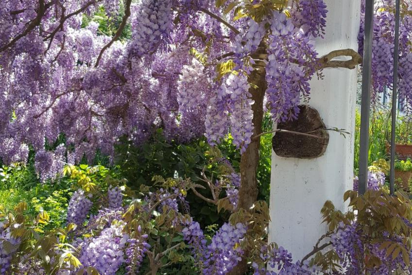 Kleine Wohnung auf einem Bauernhof - foto 14