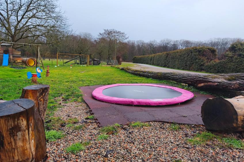 Im Rheintal - foto 30