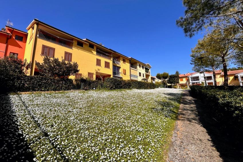 TRILO NOVELLA 2 - foto 7