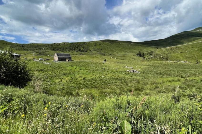 Mobil Home - Bungalow - Cottage à Albepierre Bredons - foto 40