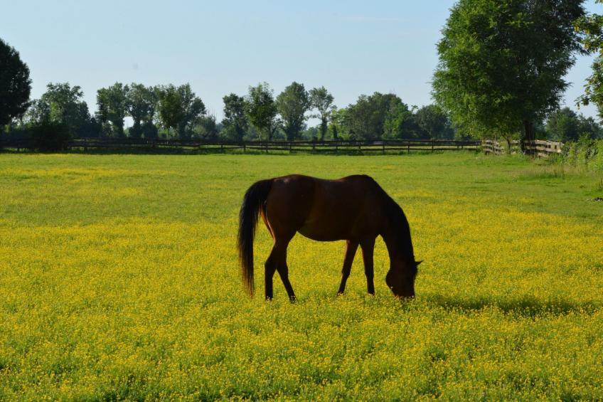 Apt. "San Bernardo" - foto 24