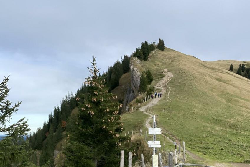 540643 - foto 31