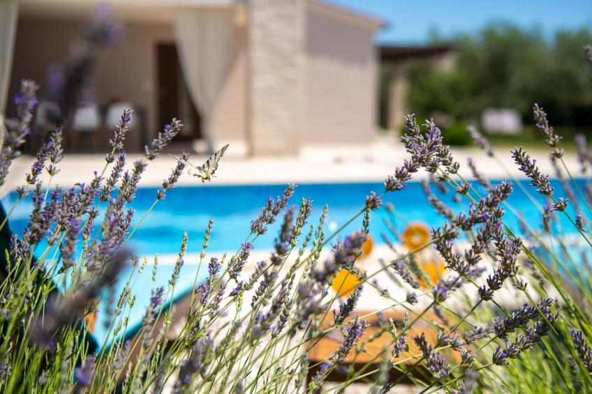 Villa Silentio - Ruhe und Privatsphäre in mediterraner Natur in Strandnähe - foto 28