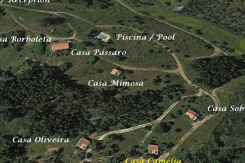 Monte Horizonte Casa Camelia Öko und Natur - foto 2