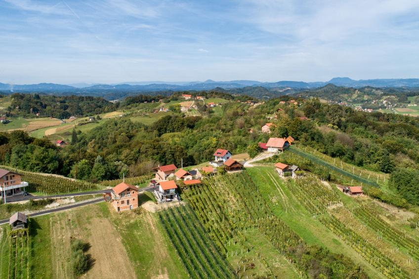 House View&Wine - foto 26