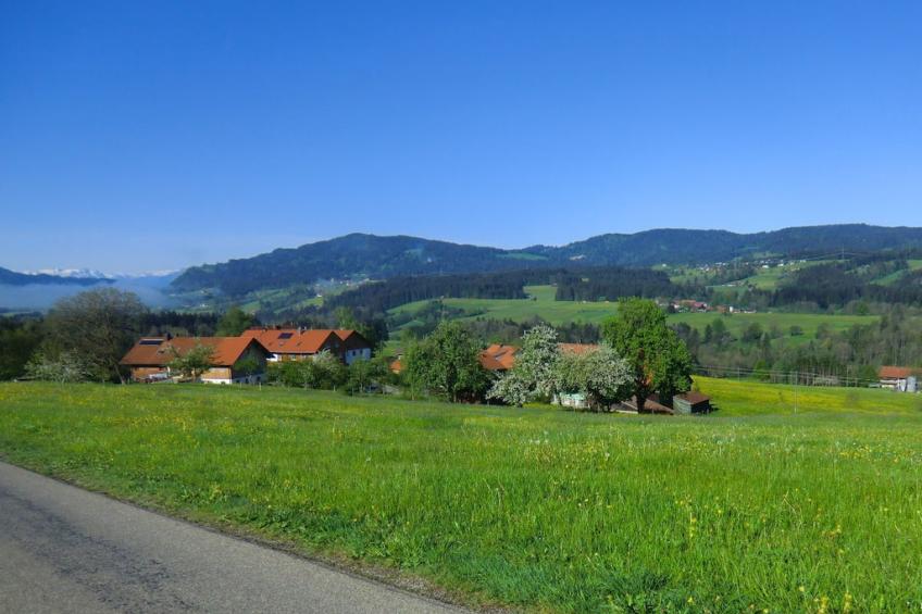 31684 - foto 2