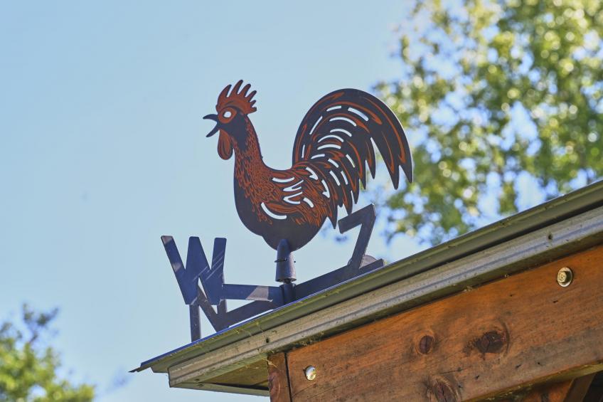 Ooievaarsnest - foto 22