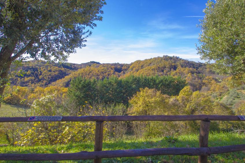 Il Frassino del Borgo di Ghiora - foto 28