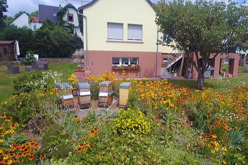 Wohnung du Coucou in Lichtenberg - foto 15