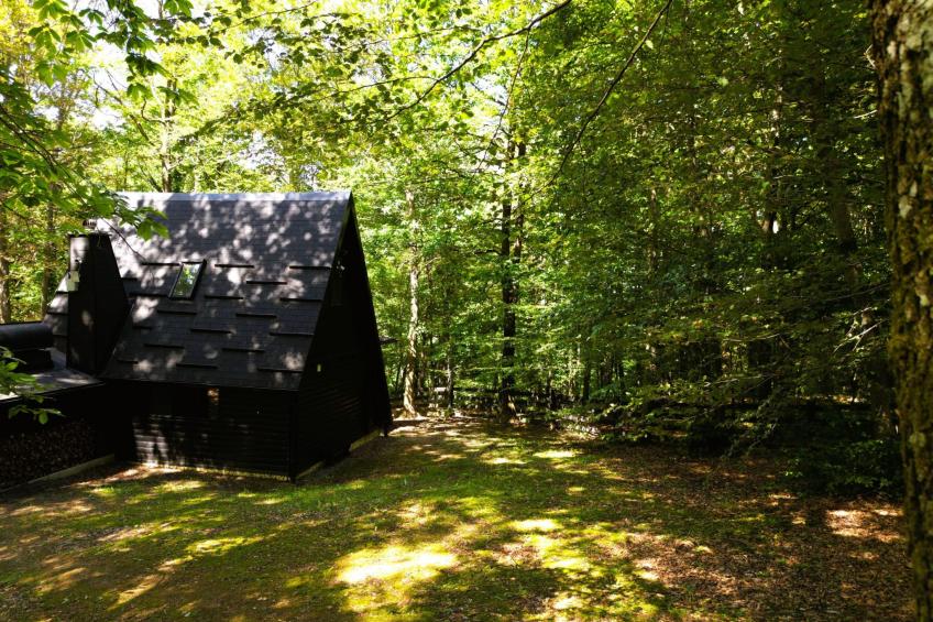 House Cabin Winterfell - foto 10