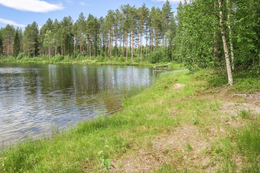 Välikosken karpalo - foto 6