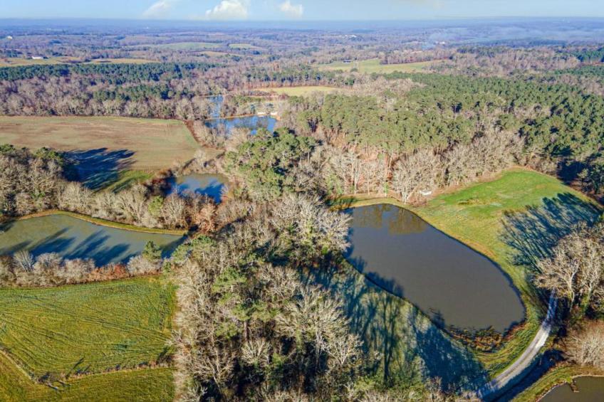 Les Coquelicots - foto 38