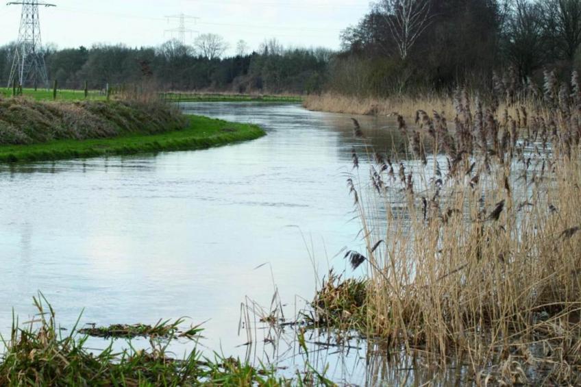 Vakantiepark De Lochemse Berg 2 - foto 36