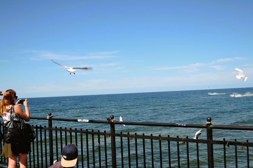 Appartement, Miedzyzdroje - foto 20