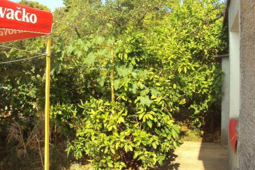 Schönes Apartment in Zaglav mit Außenkamin - foto 14