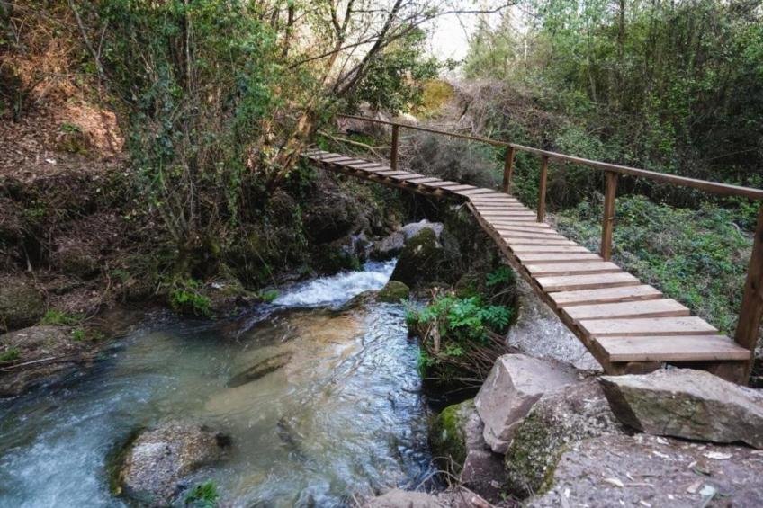 Casa das Laranjeiras - foto 36