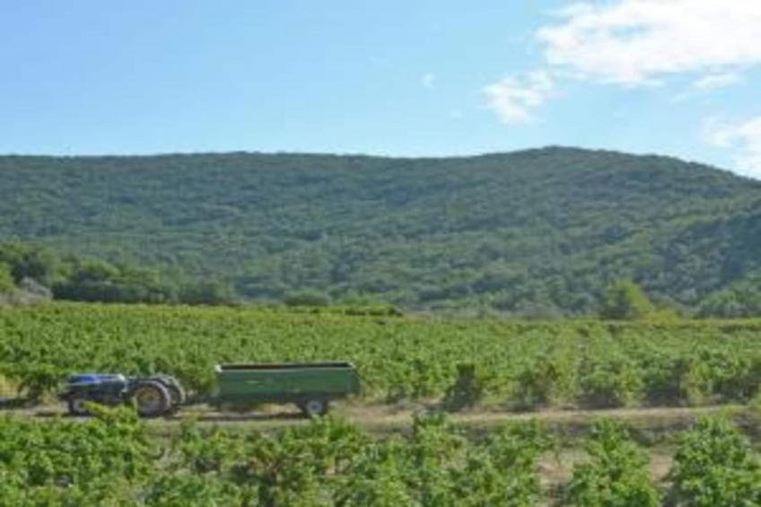 La Soléiade - foto 34