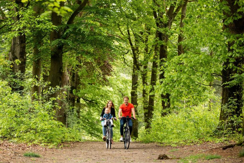 Landgoed De Scheleberg - foto 30