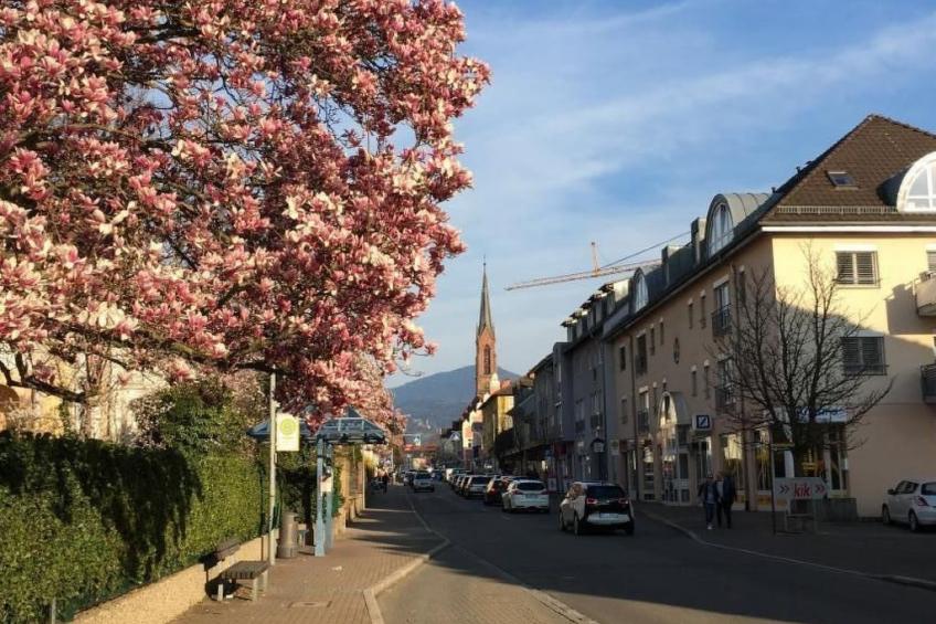 Stadtferienwohnung - foto 6