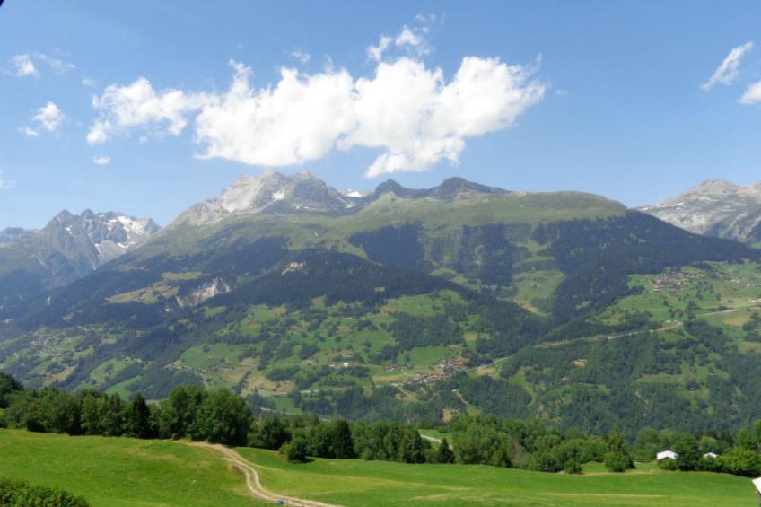 Casanova, Obersaxen-Friggahüs, (Obersaxen), 34084B - foto 16