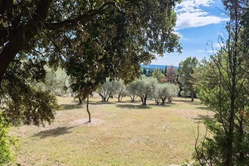 La Roseraie- Pernes-les-fontaines - foto 2