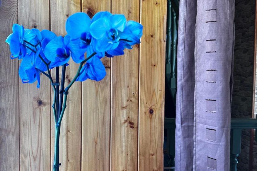 Longère mit Pool - foto 23