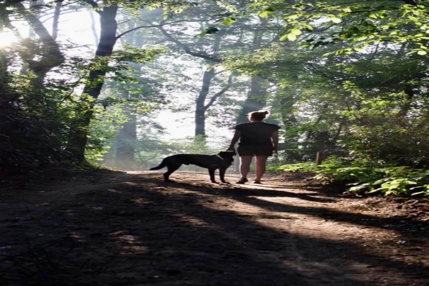 Chalet Egel - foto 25