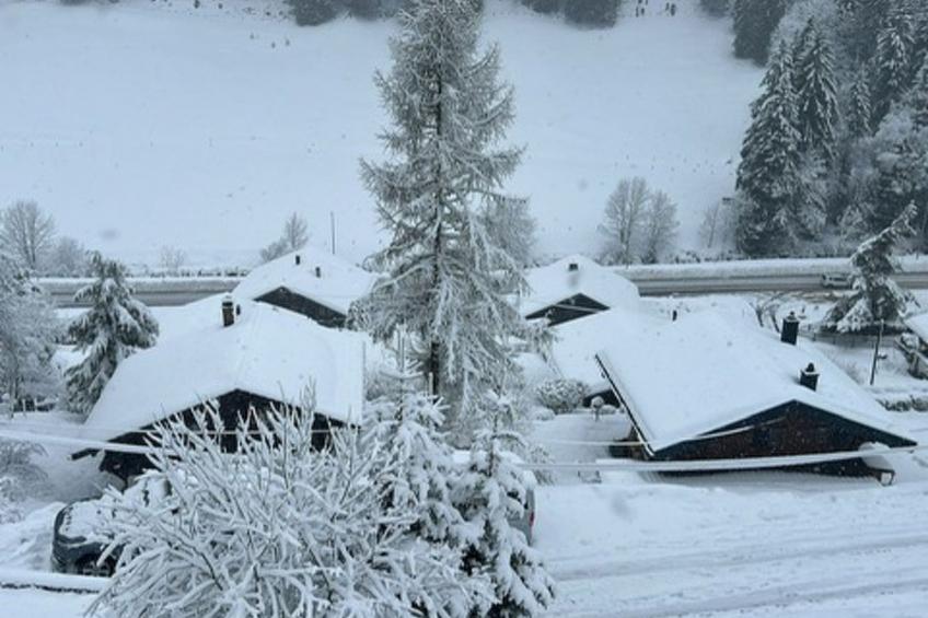 Chalet Violeta, (Morgins), - foto 12