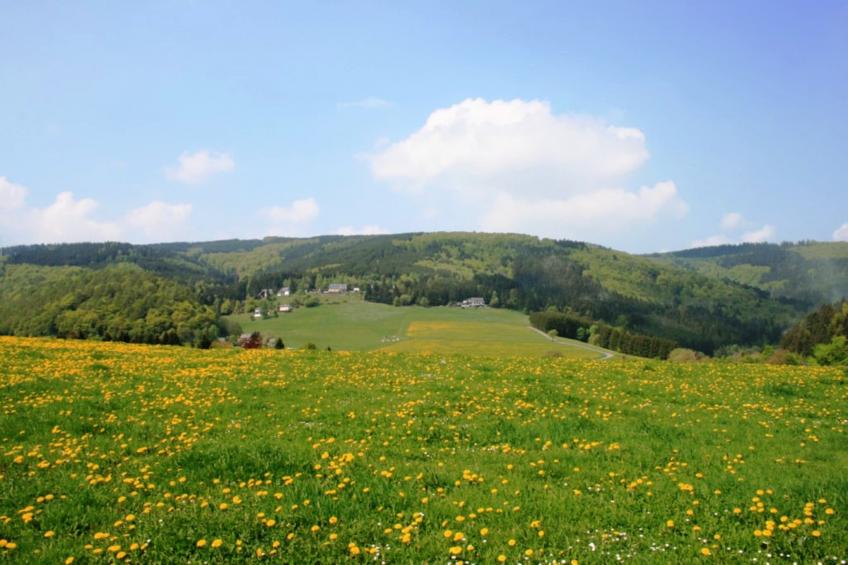 Am Iberg - foto 13