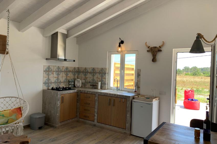 auf dem Lande in der Nähe des Strandes - foto 16