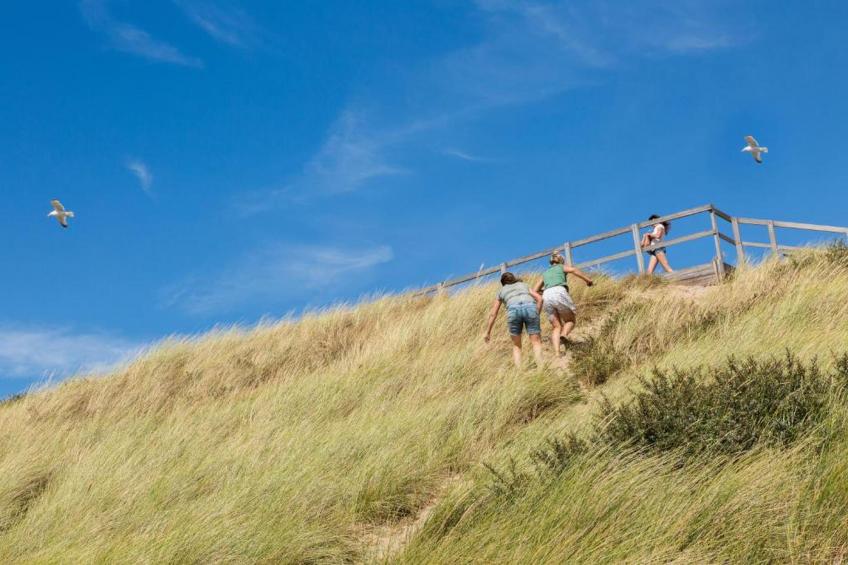 Slaapstrandhuisje - Strand dishoek 68  Dishoek - foto 30