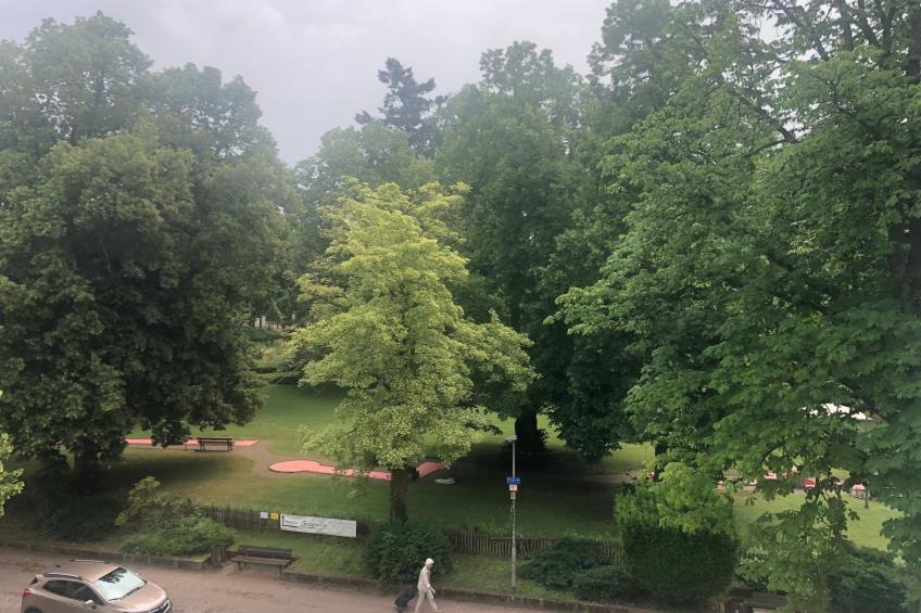 Gesamte Wohnung in Bad Kreuznach - foto 11