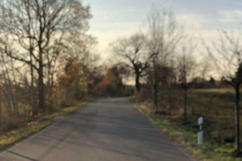 Reetdach Ferienhaus am Lübbesee Sauna Bootsteg neu - foto 25