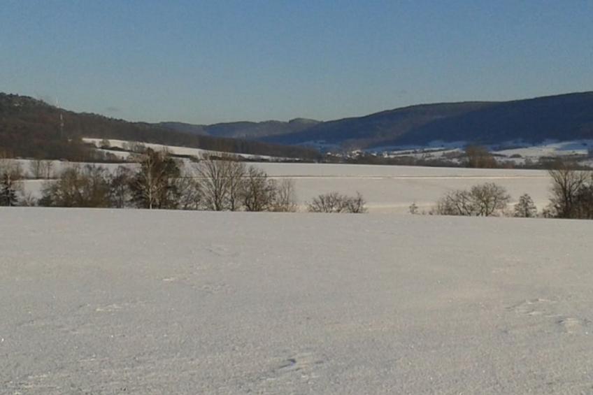179886 - foto 16