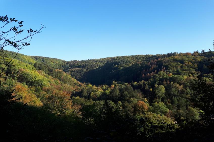 Double Room with Balcony - foto 18