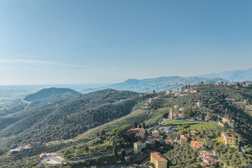 Il Corbezzolo - foto 7