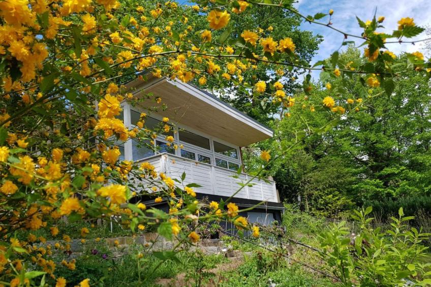 in Süd-Waldhanglage mit Seeblick - foto 4