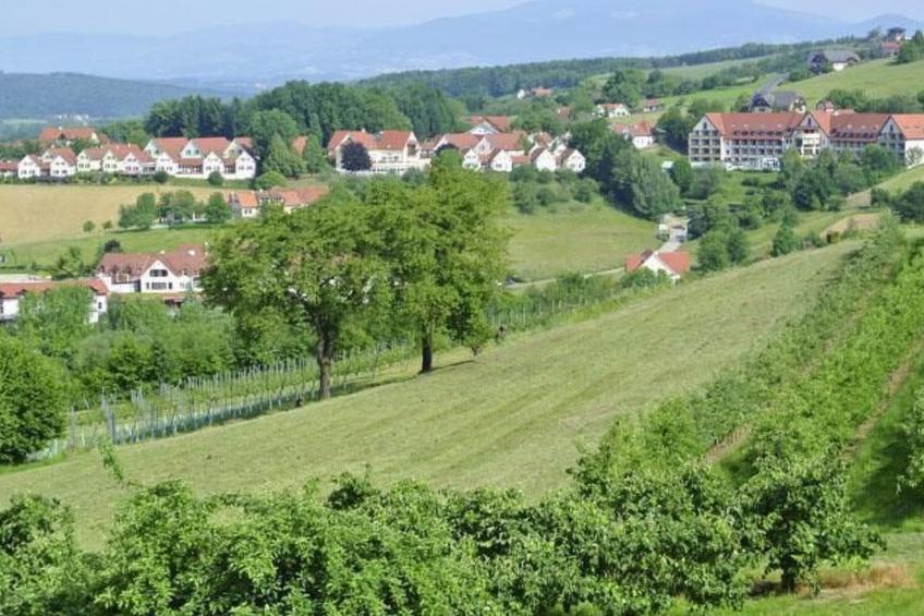 Thermen Apartment - foto 28