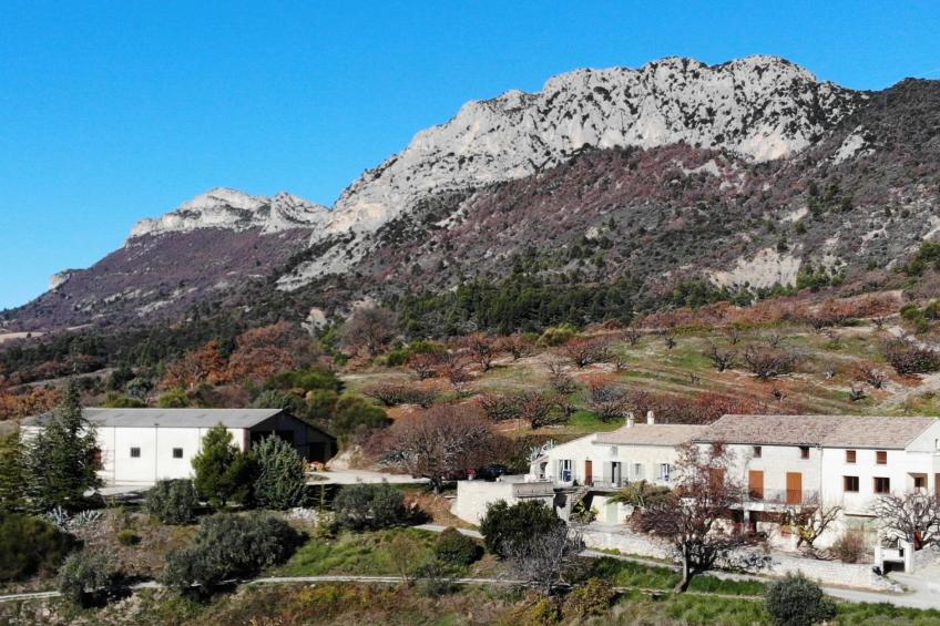 mit Panoramablick auf den Mont Ventoux