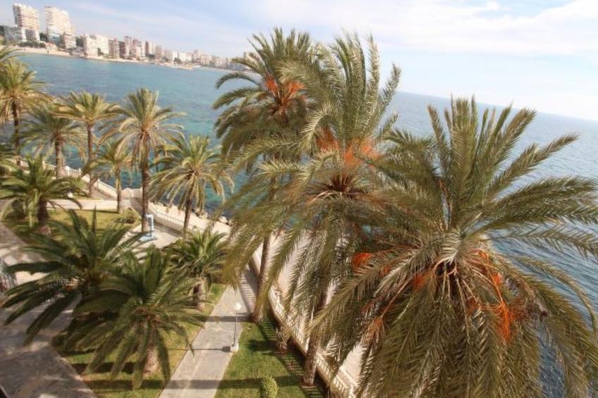 APARTAMENTO VORAMAR - foto 8